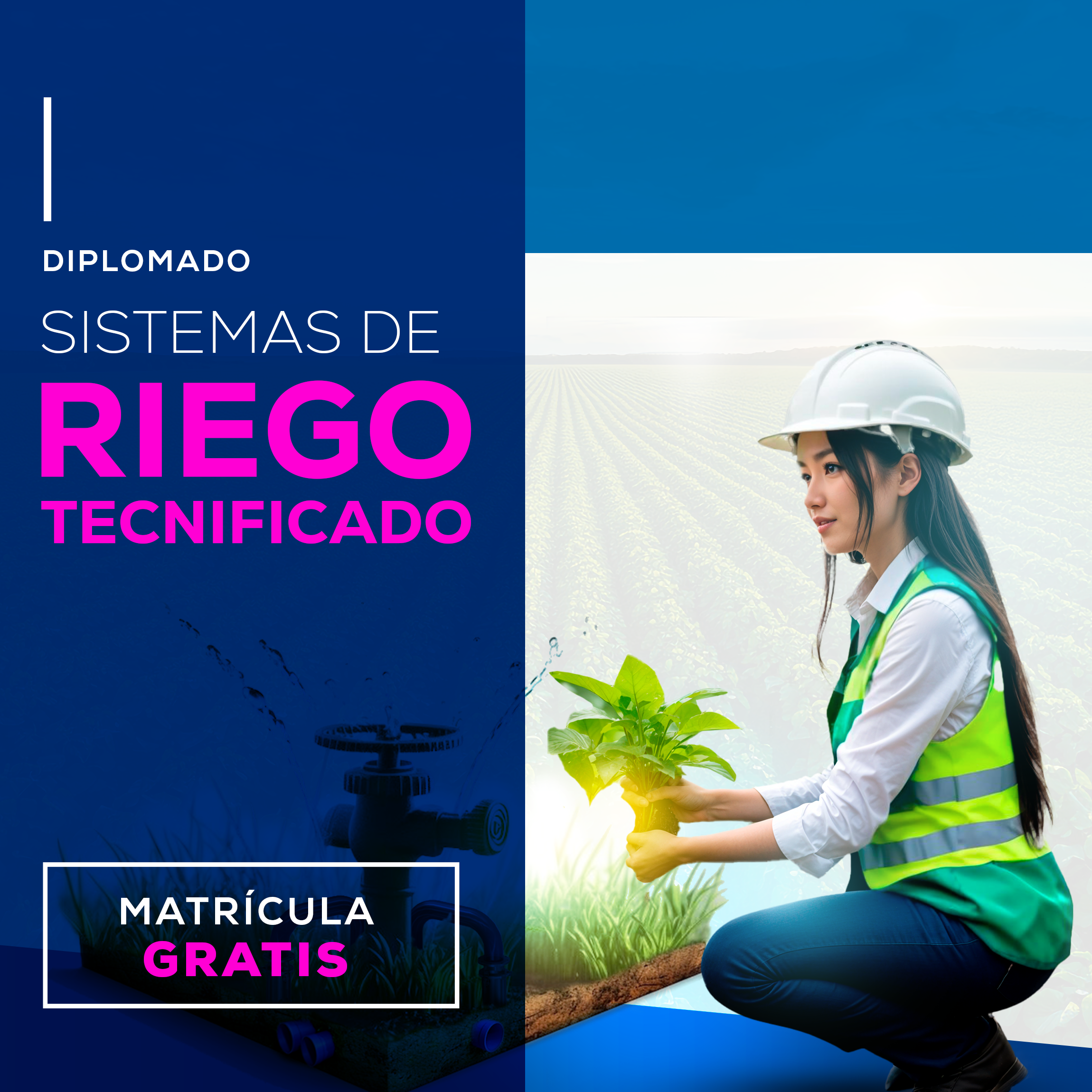 SISTEMA DE RIEGO TECNIFICADO