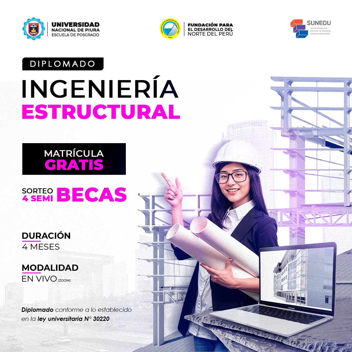 INGENIERÍA ESTRUCTURAL